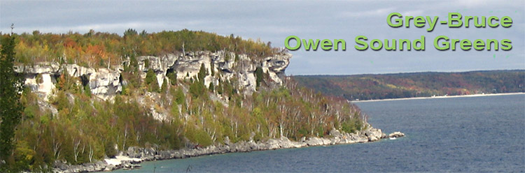 Bruce-Grey-Owen Sound Greens